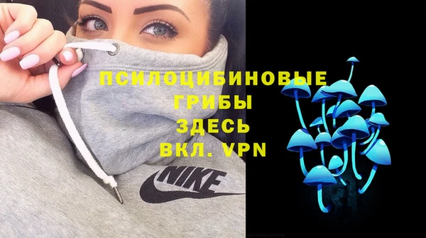 MDMA Богородск