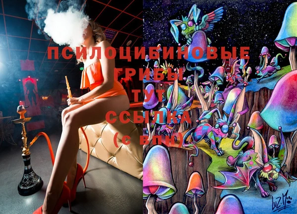 ГАЛЛЮЦИНОГЕННЫЕ ГРИБЫ Навашино