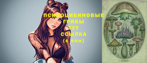 бутират Богданович